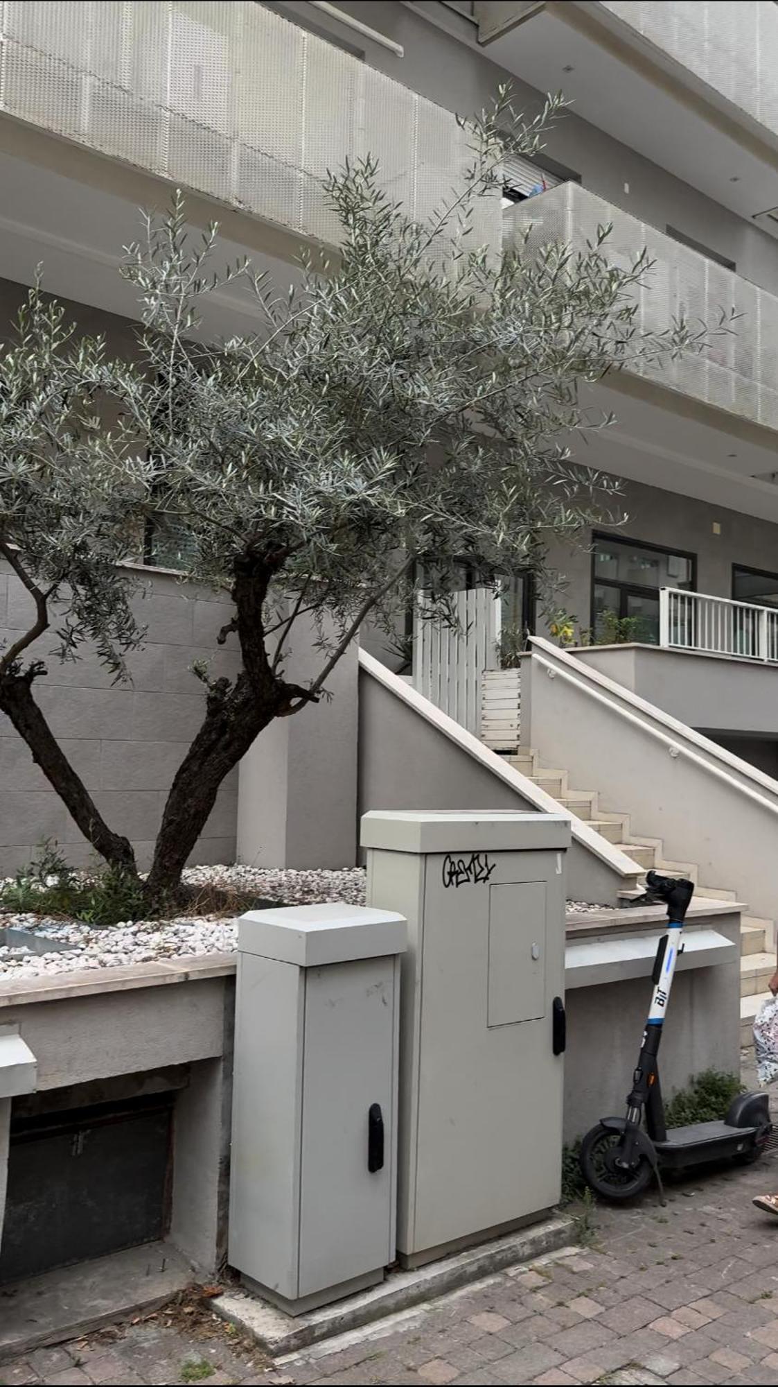 Rimini Marina Apartment Exterior foto